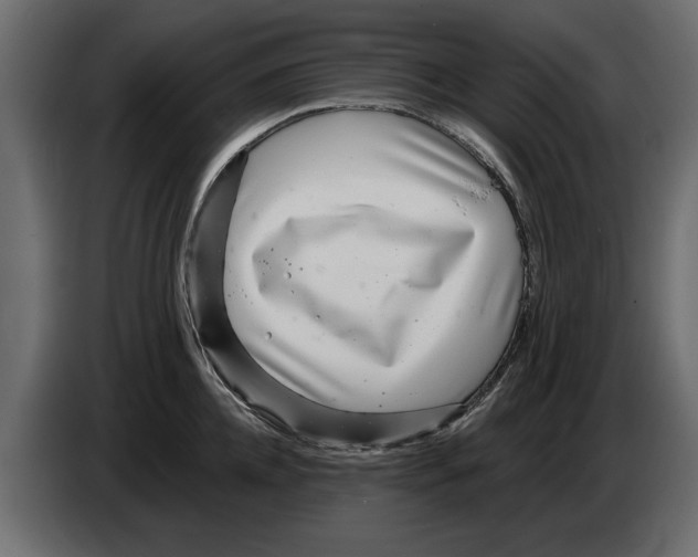 X0000082980952200703020254