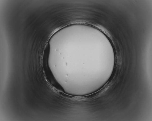 X0000082980953200703020254