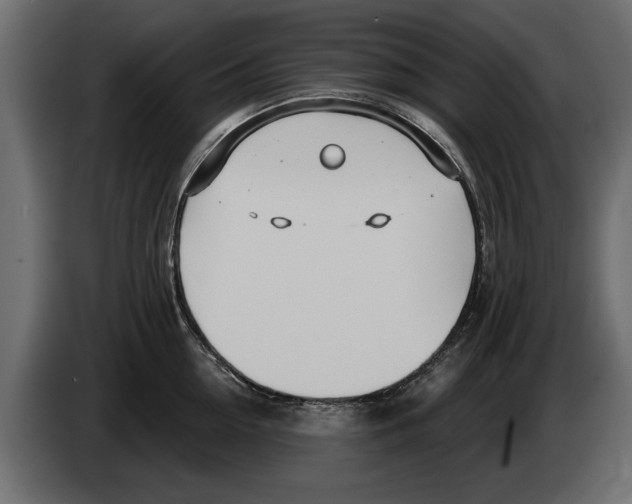 X0000082980954200703020254