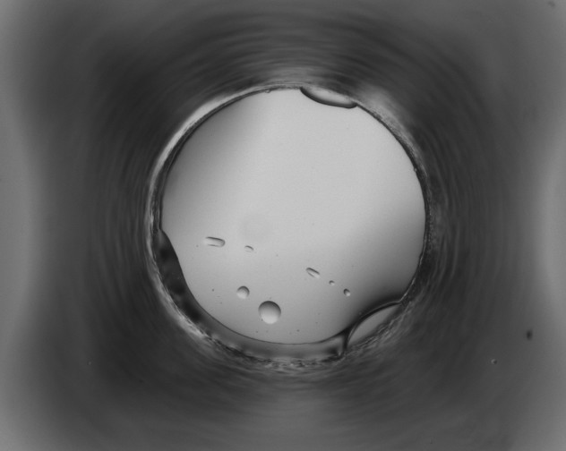 X0000082980955200703020254