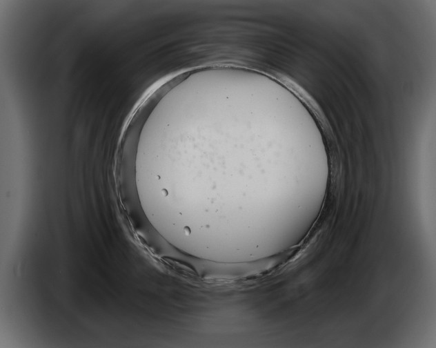 X0000082980956200703020254