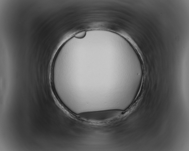 X0000082980957200703020254
