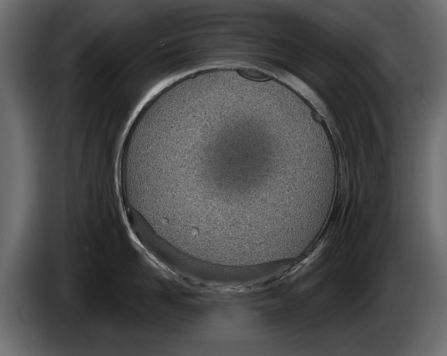 X0000082980958200703020254