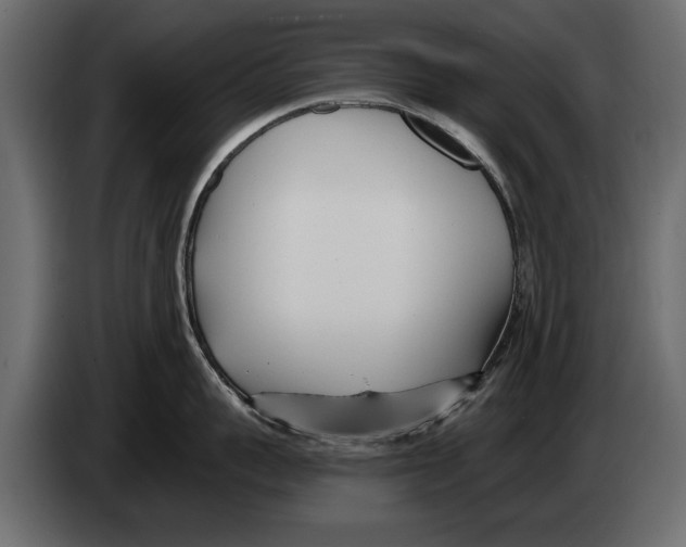 X0000082980959200703020254