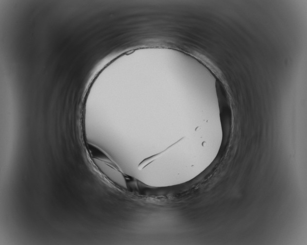 X0000082980960200703020254