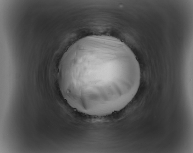 X0000082980961200703020253