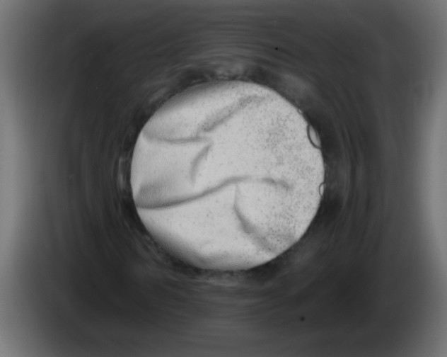 X0000082980962200703020253