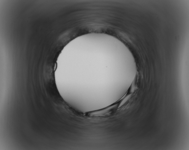 X0000082980964200703020253
