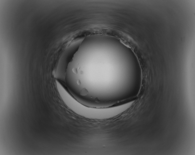 X0000082980965200703020253