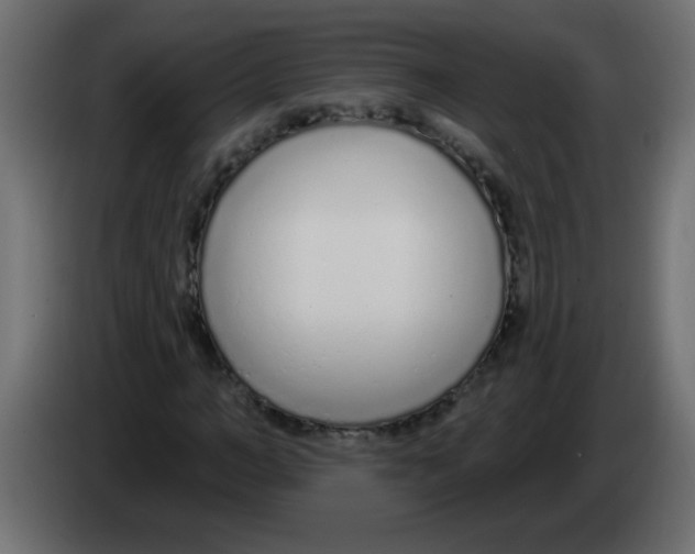 X0000082980966200703020253