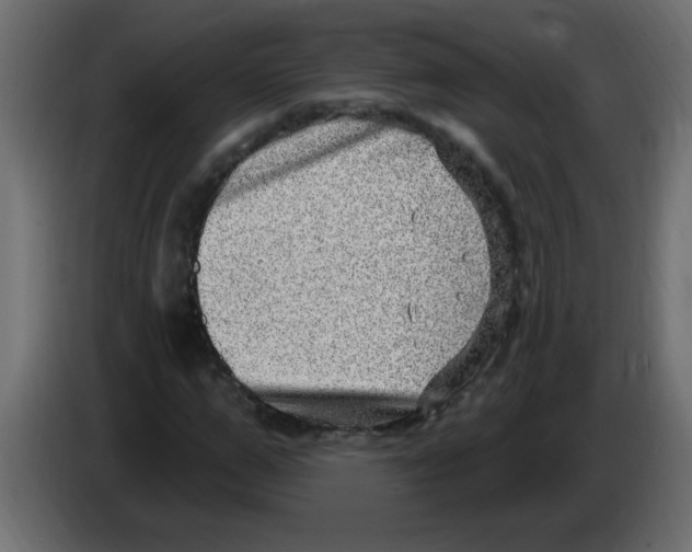 X0000082980967200703020253