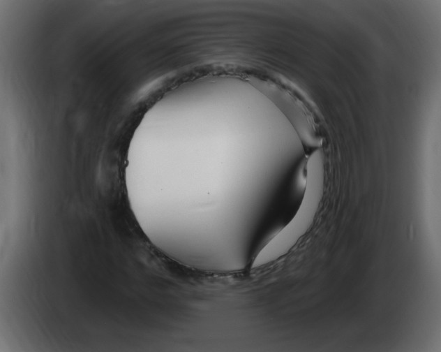 X0000082980968200703020253