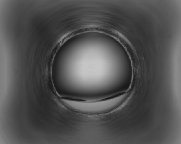 X0000082980969200703020253