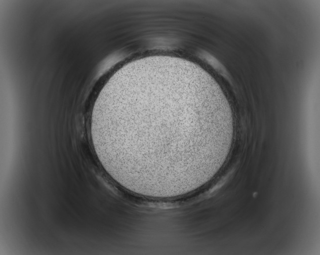 X0000082980970200703020253