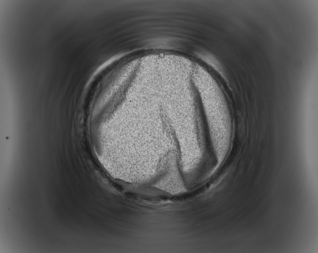 X0000082980971200703020253