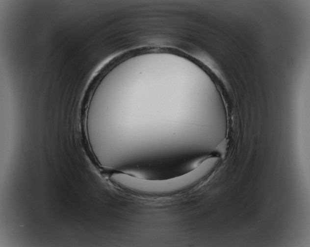 X0000082980972200703020253
