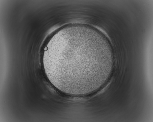 X0000082980974200703020253