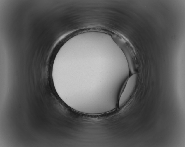 X0000082980975200703020253