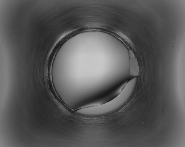 X0000082980976200703020253