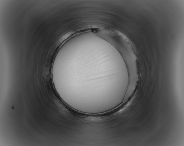 X0000082980977200703020253