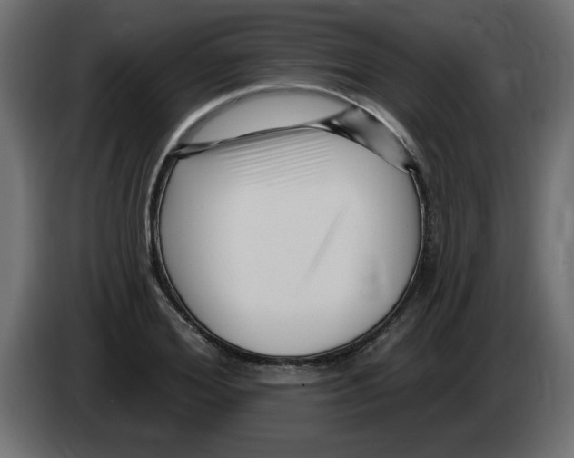 X0000082980980200703020253
