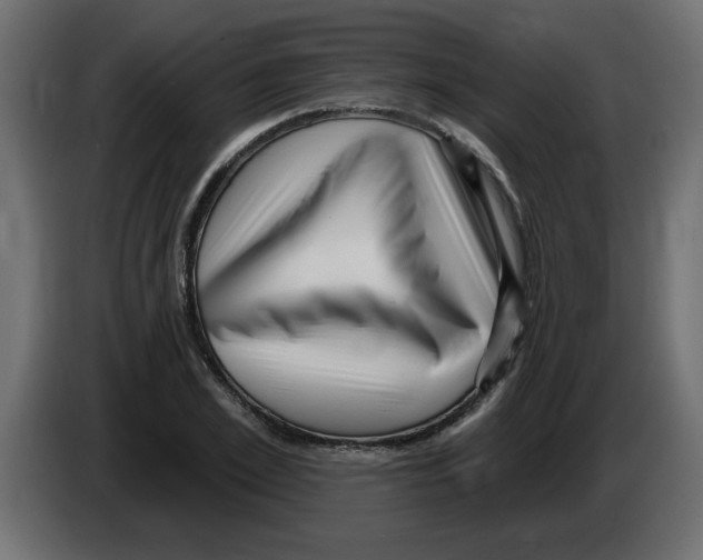 X0000082980981200703020253
