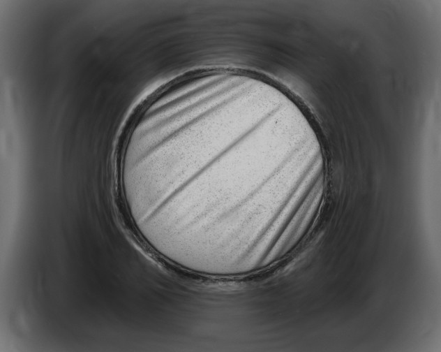 X0000082980982200703020253