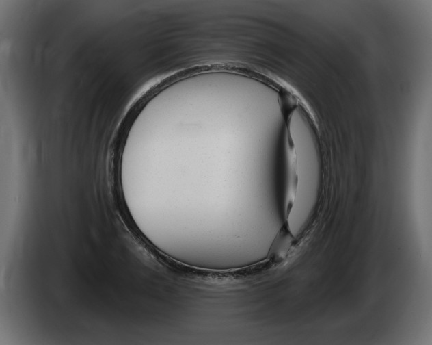 X0000082980983200703020253
