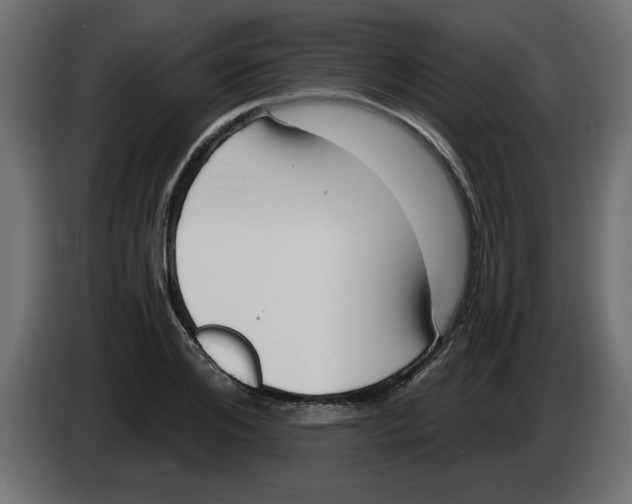 X0000082980984200703020253
