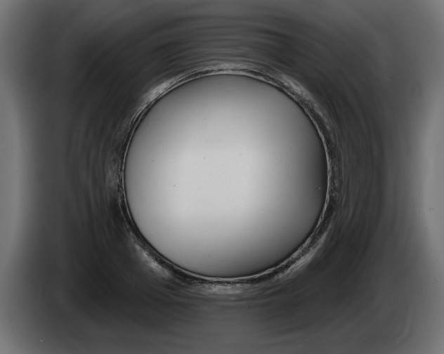 X0000082980985200703020253