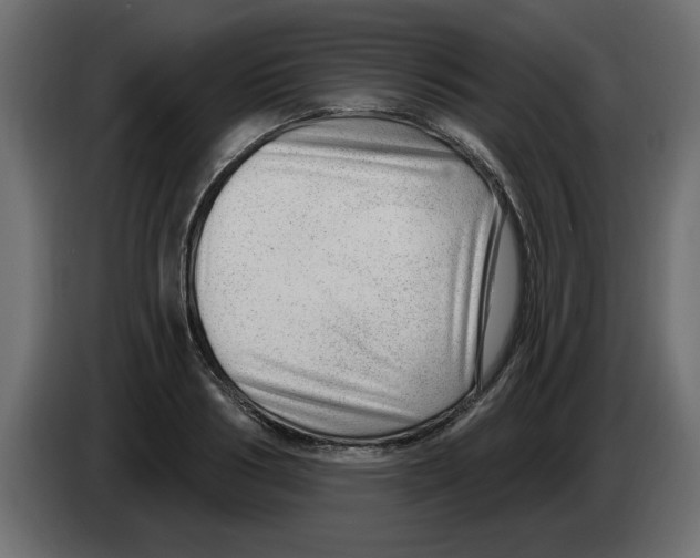X0000082980986200703020253