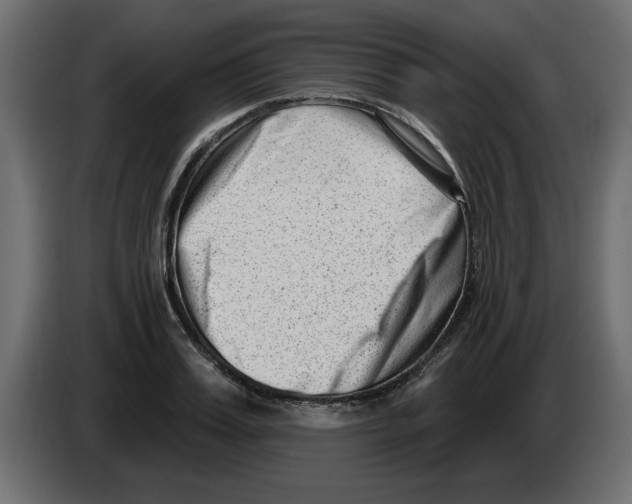 X0000082980987200703020253