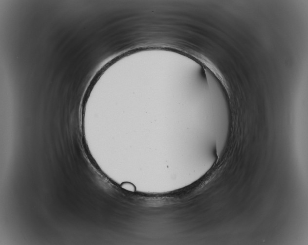 X0000082980988200703020253