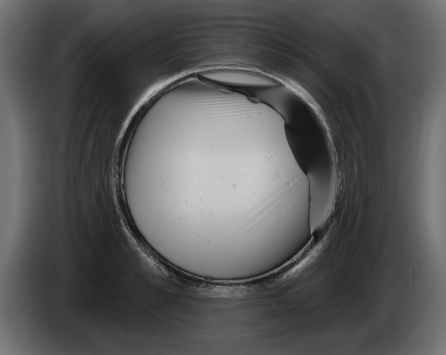 X0000082980989200703020253