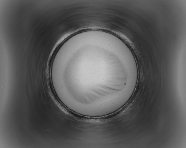X0000082980990200703020253