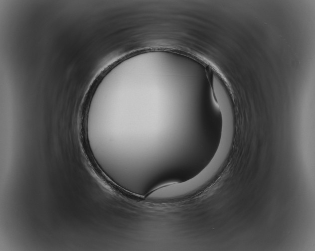 X0000082980991200703020253