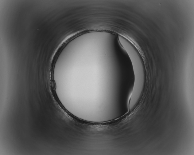 X0000082980992200703020253