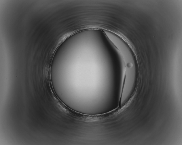 X0000082980993200703020253