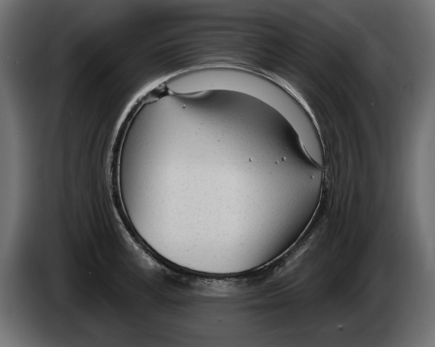 X0000082980995200703020252