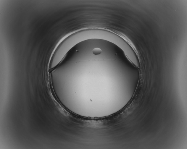 X0000082980996200703020252