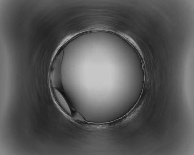 X0000082980997200703020252