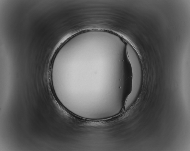 X0000082980998200703020252