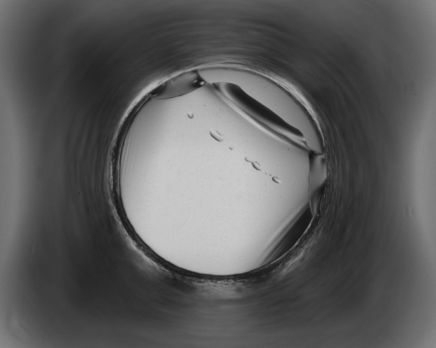 X0000082980999200703020252