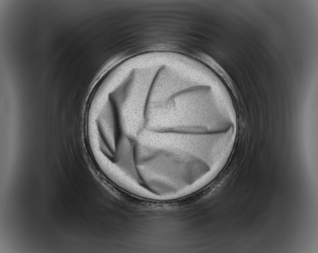X0000082981002200703020252