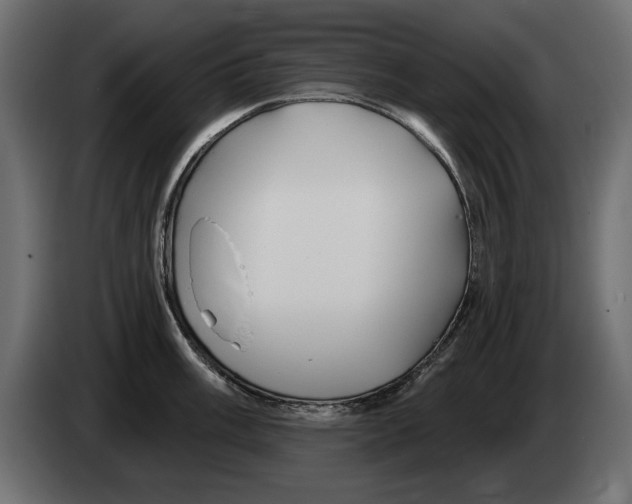 X0000082981003200703020252