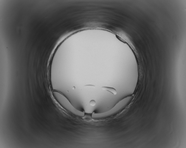 X0000082981004200703020252