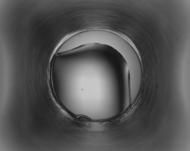 X0000082981005200703020252