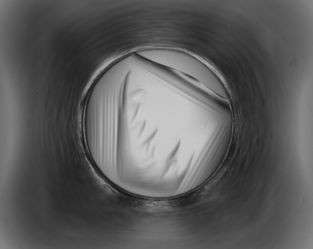 X0000082981006200703020252