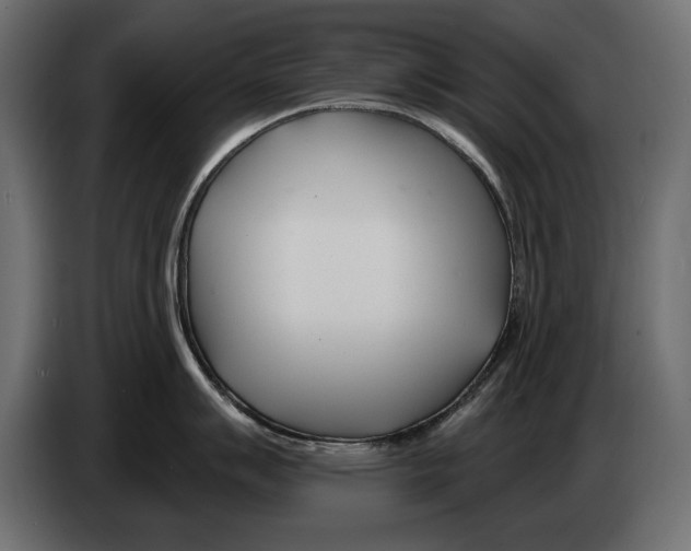X0000082981007200703020252