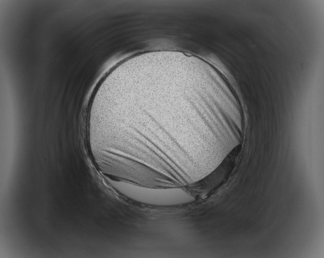 X0000082981008200703020252